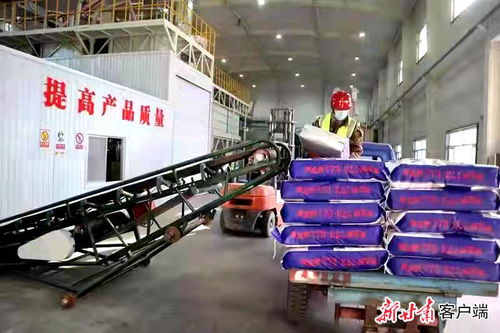 甘肃省张掖市力保种子企业生产与防疫 两不误